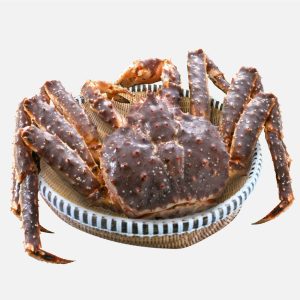 Cua Hoàng Đế - King Crab Đỏ Đực Sống